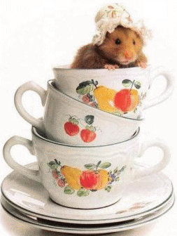 mys3.gif